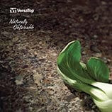 VersaTop Brochure