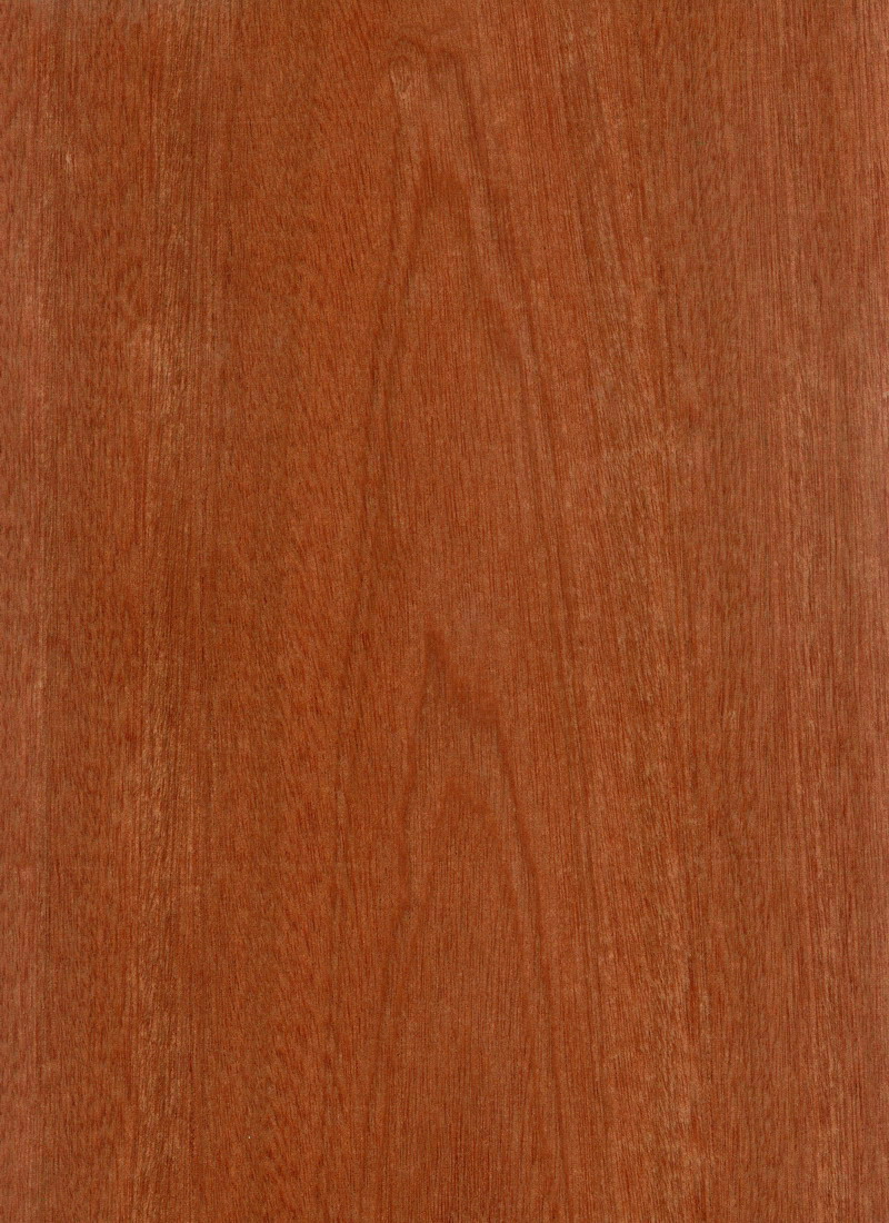 Sapele