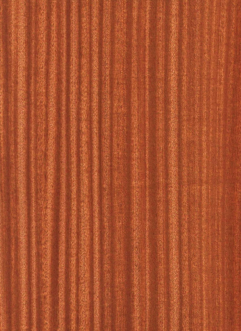 Sapele