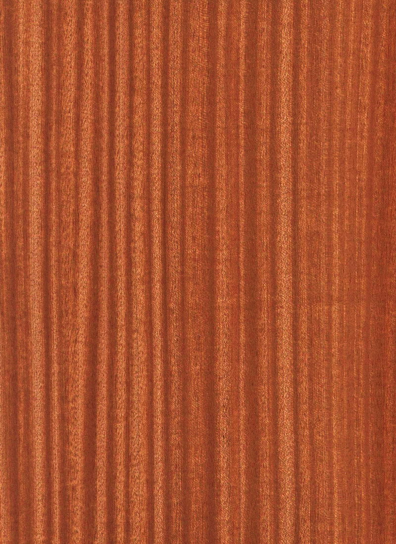 Sapele