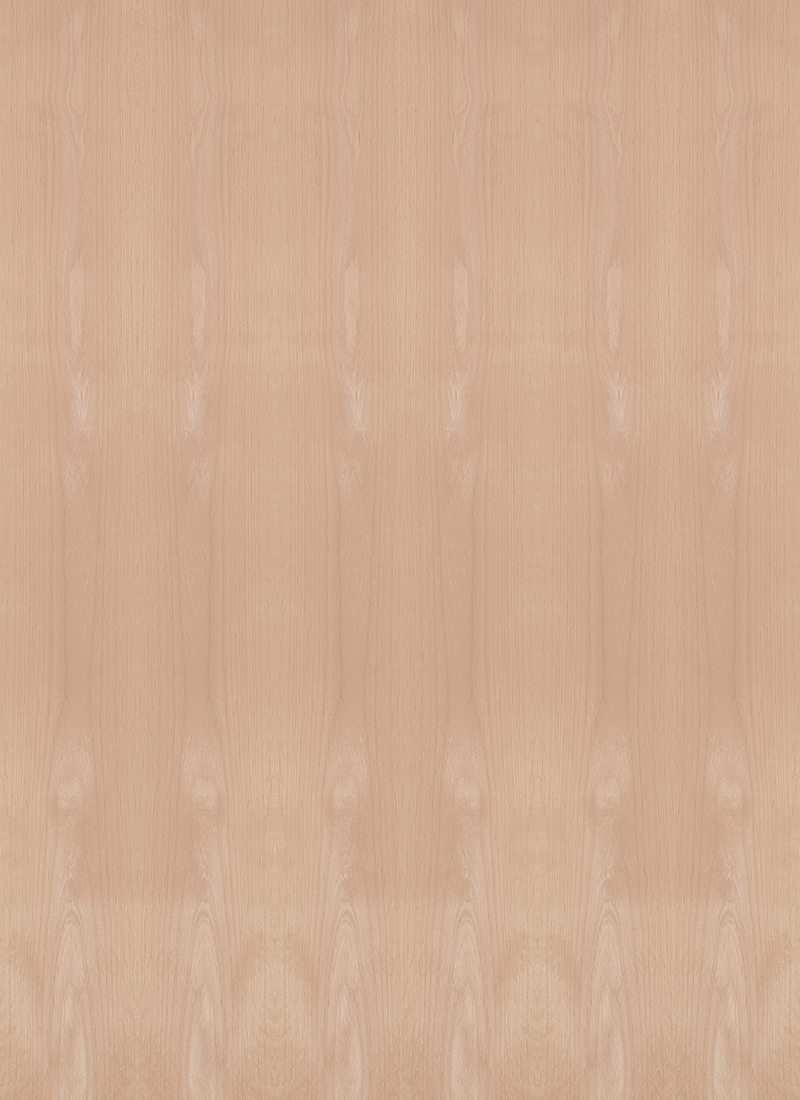 Alder